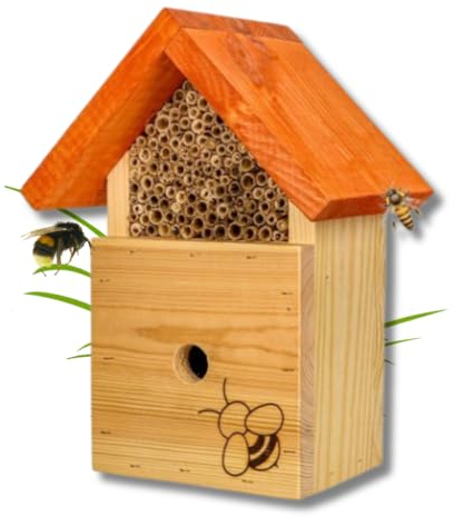 MADERY Bienenhotel für Kinder & Familien – Insektenhotel aus Massivholz mit Schilfröhrchen – wetterfest & aus EU-Produktion – ideal für Garten, Balkon & Naturprojekte