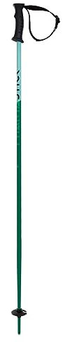 Volkl Phantastick 2023 - Bastoni da sci unisex per ragazzi, in alluminio, 14 mm, impugnatura morbida, colore: verde, 85
