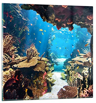 Vidrios decorativos 40x40cm Cuadro Sobre Vidrio Moderno Océano arrecife peces coral Dormitorio Cocina Cuadros Pared Impresiones Decoracion Salon Impresión en Cristal Wall Art Prints GAC40x40-2872
