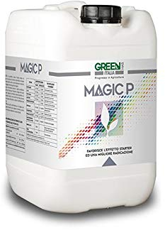 Magic P (favorise l'effet de démarrage) (6 kg), engrais liquide pour plantes et fleurs