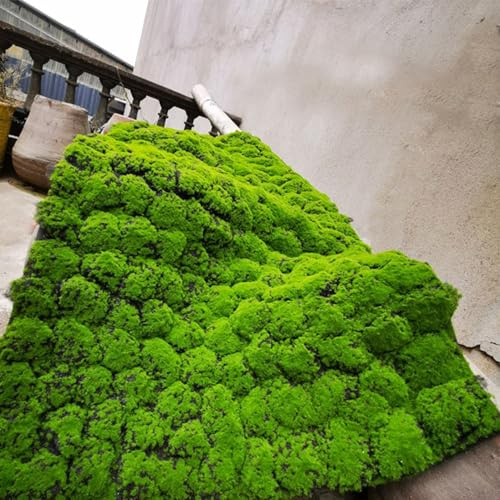 DHDHSHB Artificial Moss Turf, 1x1m(3.2x3.2ft) DIY Simulation Artificial Moss for Patio, Balcony, Deck, Yard, Art Wall, Florist Decor