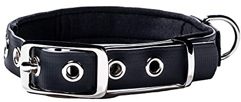 PetTec Hundhalsband Schwarz aus Trioflex™ wetterfest, wasserabweisend & robust | für kleine Hunde