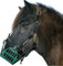 Nordic Medica Greenguard Weide Maulkorb Fressbremse | schwarz | Full Warmblut