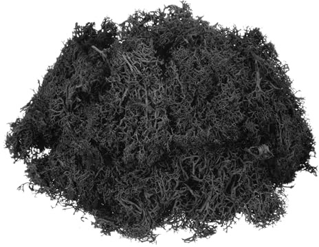 sourcing map 4.6oz Preserved Reindeer Moss, Black Decorative Artificial Fake Moss for Potted Plants Indoor Crafts Lichen Centerpieces Decor