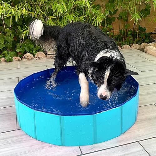 Piscina per cani e gatti, pieghevole, in PVC, antiscivolo, resistente all'usura, per cani, gatti, vasca da bagno, portatile, per animali domestici, lunghezza 120 x 30 cm, colore casuale