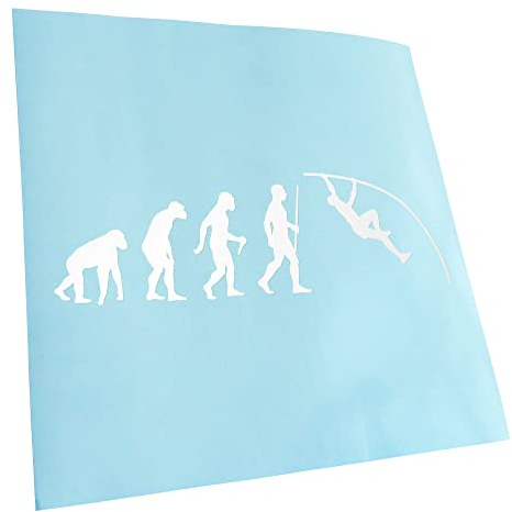 Kiwistar - Autocollant - Evolution pour Tableau de Bord - blanc - G30 - Pour voitures, vélos, véhicules, motos, cyclomoteurs, tuning, vitres arrière