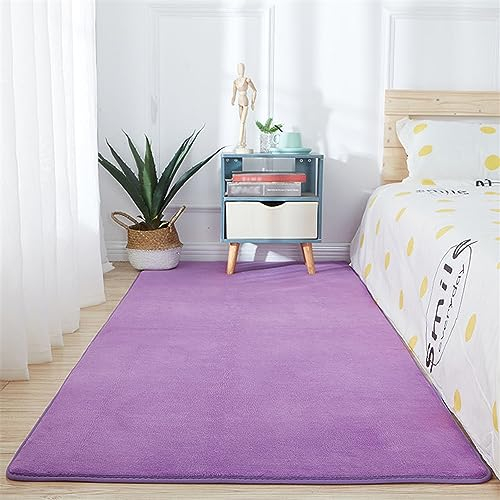 BESTORI Teppich Wohnzimmer Kurzflor Einfarbig Teppich Weicher rutschfest Modernes Waschbar Schlafzimmer Bettvorleger Outdoor Carpet Lila, 50 x 160 cm