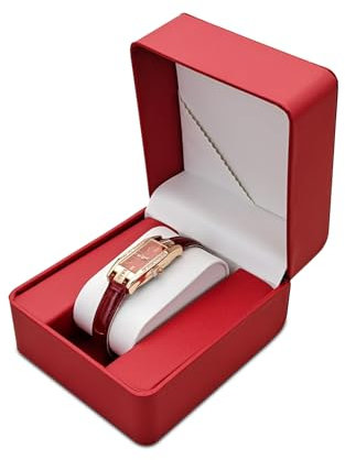 WisePoint Scatola Orologi, PU Custodia Orologio in Pelle Singolo Porta Orologi per gli Uomini e le Donne, Portatile Porta Orologi da Viaggio con Cuscino Rimovibile (Rosso)