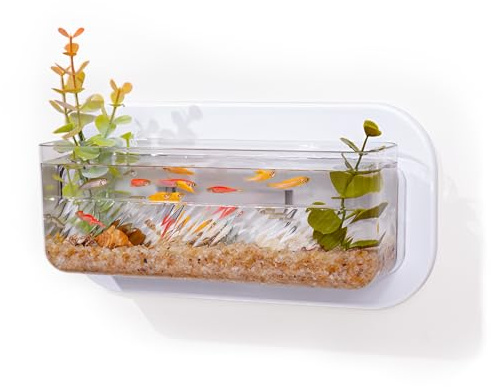 Mini Wall Mounted Fish Tank