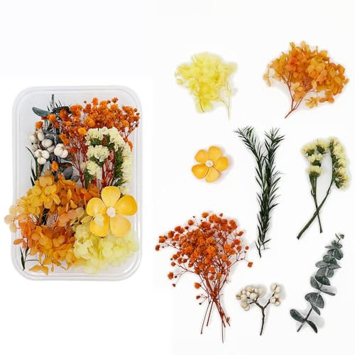 Bmeigo Natural Dried Flowers for Crafts, Pressed Real Flowers Leaves Set Everlasting Flowers Mixed for Floral Decorations DIY Candle Making Resin Jewelry Art Scrapbooking Wedding Gifts(Yellow)