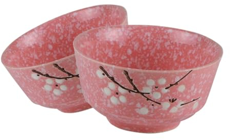 Ciieeo 2-teilige Reisschüssel Aus Keramik Im Japanischen Stil Suppenschüssel Keramikschüssel Für Die Küche Servierschüsseln