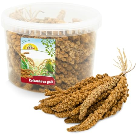 JR FARM Birds Kolbenhirse gelb im Eimer 500 g