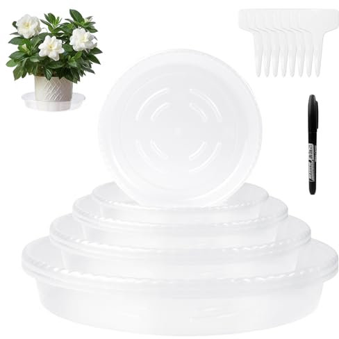 Soucoupes Transparentes pour Plantes avec Étiquette - 8 Pièces Soucoupes De Drainage Résistantes Et Transparentes, Plateaux Ronds Transparents pour Pots De Fleurs pour Pots De Jardin Extérieur