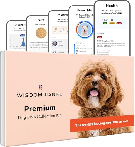 Wisdom Panel Premium - Dog DNA Test for Umfassende Gesundheit, Eigenschaften und Vorfahren 75g