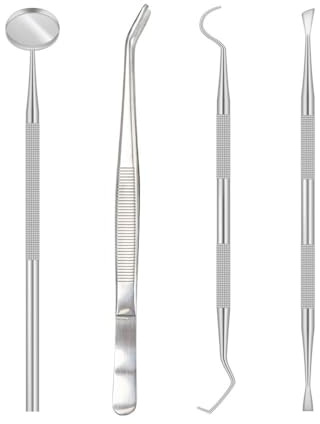 Plaque Remover for Teeth, Dental Care Kit for Plaque Removal