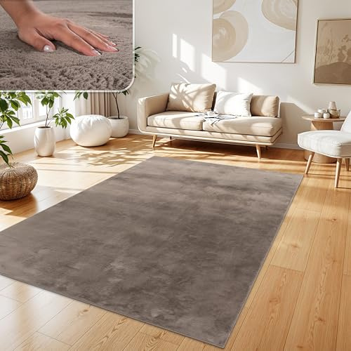 Paco Home Alfombra para Salón en Falsa Piel Suave Lavable Moderna Elegante Fácil de Limpiar Efecto Piel Uni Brillante Fluffy a Pelo Corto, tamaño:200x280 cm, Color:Taupe