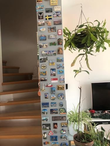 200x60 cm Türfolie Kreide Tafel Folie Magnettafel Set inkl. Kreidestift + 10 Magnete selbstklebend & magnetisch I Haftgrund für Magnete I beschreibbar, nass und trocken abwischbar (grau)