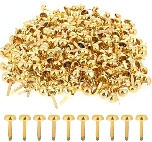 Hariendny 300 Stück Gold Metall Rundkopfklammern, Rund Kopf Scrapbooking-Brads, Mini-Bilderklammern Musterklammern Metall-Brads für DIY, Kunsthandwerk, Bilder