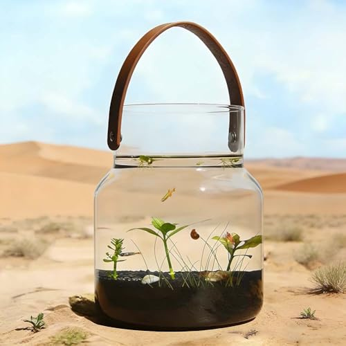 Uxcvvzz Transparent Glass Goldfish Bowls,High-Definition Glass Aquariums, Elegant and Natural Betta Fish Bowls,Miniature Turtle Terrariums Create Miniature Aquatic Gardens,Also Suitable for Home,Aa