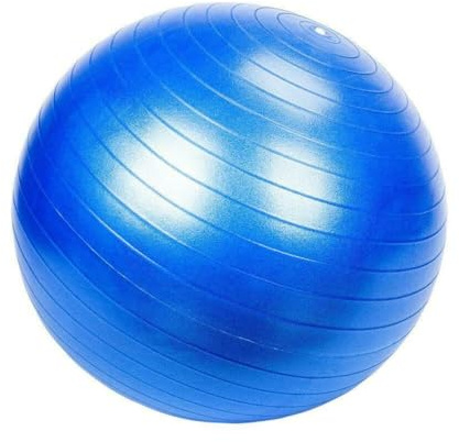 D-WORK - Ballon De Gymnastique Fitness 65 Cm - PVC Anti-Éclatement 300 Kg - Pilates, Yoga, Grossesse, Posture, Souplesse Et Renforcement Musculaire - Bleu