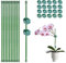 10 Stück 30cm Pflanzenstab mit 20 Stück Pflanzenbinder Orchideen Stäbe Pflanzenstütze Blumenstütze Zimmerpflanzen Pflanzenhalter rankhilfe Pflanzen Stabilisieren Stab Pflanzstab blumenhalter