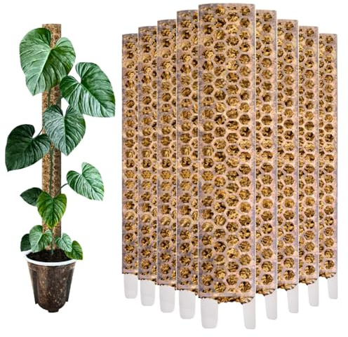 10 bastoncini di muschio opachi XL (53 cm) per piante da interno Aroide (Monstera, Filodendro, Alocasia, Epipremnum, ecc.) Aiuto per rampicanti, accessori per piante rampicanti