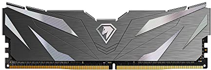 Netac DDR4 2666MHz 8GB, Desktop Memory DDR4, Gaming Memory 8GB, with Heat Sink, Black