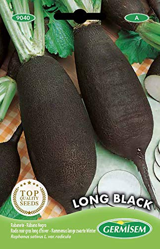 Germisem Winterrettich LONG BLACK, mehrfarbig, EC9040