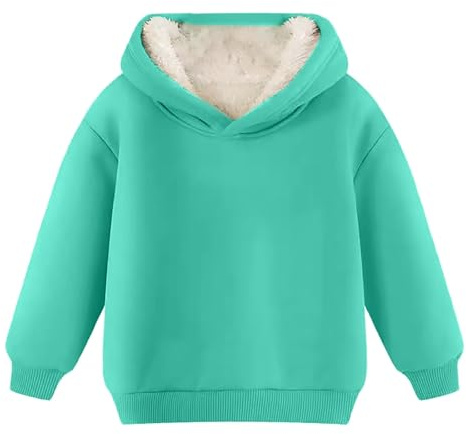 Sudadera con capucha con forro polar para adolescentes, niñas y niños, cálida con forro esponjoso para invierno, jersey casual liso de felpa para niños, sudadera térmica de manga larga tipo pullover a