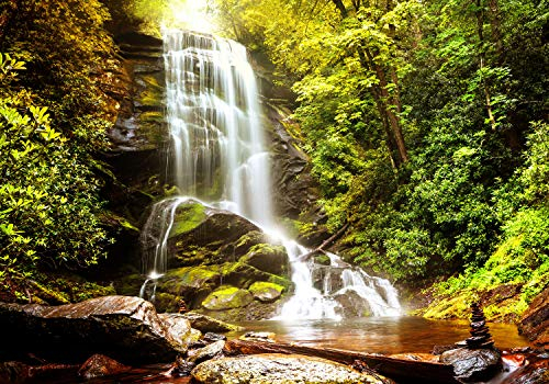 decomonkey Fototapete Wald Wasserfall 350x256 cm XL Tapete Fototapeten Vlies Tapeten Vliestapete Wandtapete moderne Wandbild Wand Schlafzimmer Wohnzimmer Natur Landschaft