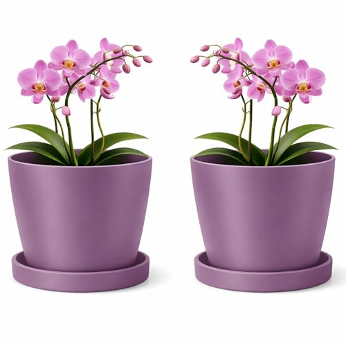 PECZEKO, Vaso da fiori in plastica opaca decorativo per piante grandi e piccole, confezione da 2 con sottovaso, vaso per erbe, viola, Ø 16 cm