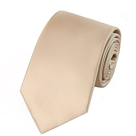 HOULIFE Herren Satin Krawatten - Solide Herren Krawatte, Reine Farbe Krawatten für Herren Satin Polyester Krawatten zur Hochzeitsfeier, Party, Alltagskleidung (Champagner)