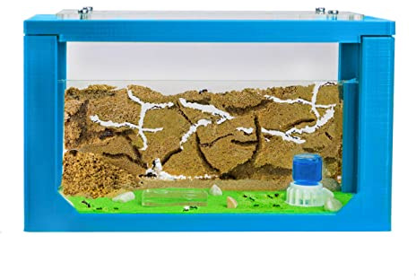 AntHouse - Fourmilière Naturelle en Sable | Kit Commencement 3D 20x10x10 cm Bleu | Fourmis Incluses