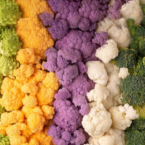 semi di cavolfiore - biologici, varietà antiche resistente 225pcs
