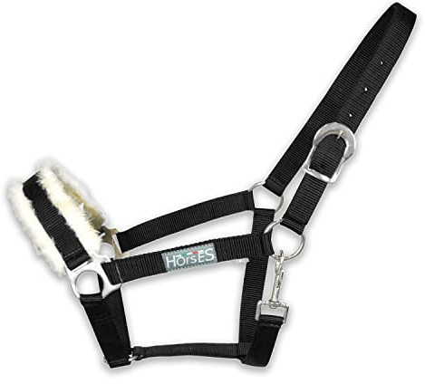 Horses, Cavezza Winry con Pelo Nero COB, Cavezza Confortevole, Utile per Condurre Il Cavallo a Mano o per Assicurarlo Durante Le Operazioni di Strigliatura, Sellatura o Trasporto