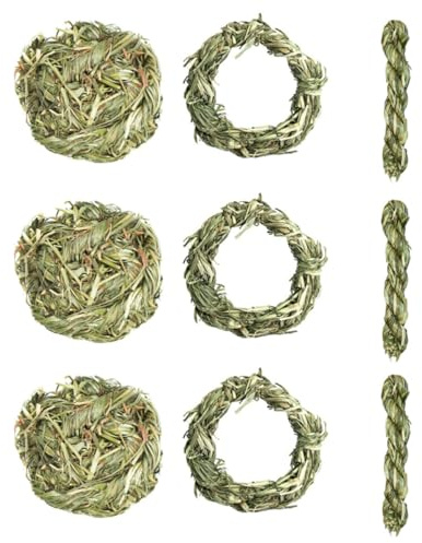 KOMBIUDA 9pcs Natural Grass Pet Chewing for Guinea Pig and Hamster, Promotes Fun and Exercise, Sturdy Grinding for Small Pets, Rodent Activity Snack