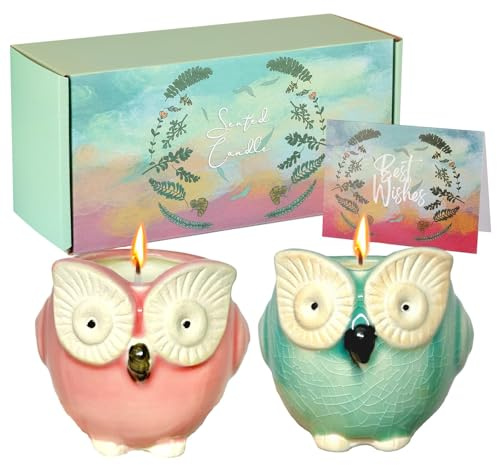 Regalo de cumpleaños para mujeres, velas perfumadas de búhos, paquete de 2 unidades – Vela regalo para el Día de la Madre, San Valentín y Navidad