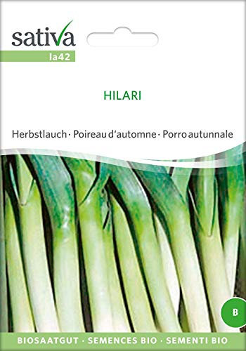 Sativa Rheinau la42 Herbstlauch Hilari (Bio-Lauchsamen)