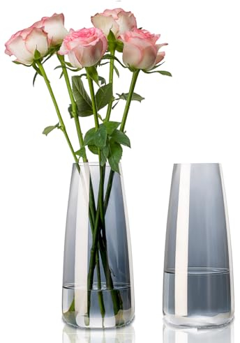 YBCPACK Blumenvase Glas 22cm Hoch – Halbtransparentes Grau Moderne Vase für Tulpen/Rosen, Büro & Wohnzimmer Dekor（2er Set）