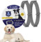 Dog Insect Repellent Collars - 2Pcs Safe Waterproof Adjustable Collar for Dogs to Prevent Infections, Containing Natural Essential Oils for Puppies Dogs over 7 Weeks, 16 Month Protection (Grey)