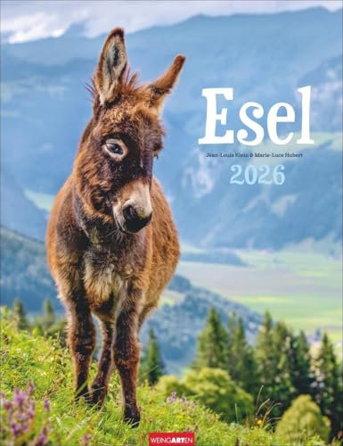 Esel Kalender 2026: Jahres-Wandkalender mit Fotos von Jean-Louis Klein und Marie-Luce Hubert. Tierkalender mit süßen Eselfotos. Planer mit Platz zum ... Hochformat 30x39 cm (Tierkalender Weingarten)