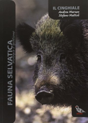 Il Piviere