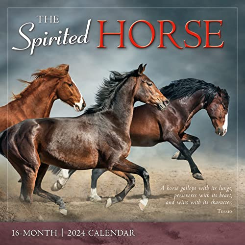 The Spirited Horse 2024 Väggkalender, 16-månaders djurkalender, 12 tum x 12 tum