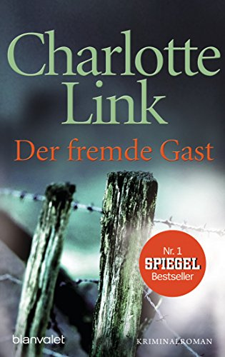 Der fremde Gast: Kriminalroman: 37927