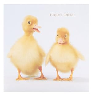 UK Greetings Easter Card for Him/Her/Friend - Cute Chicks Design
