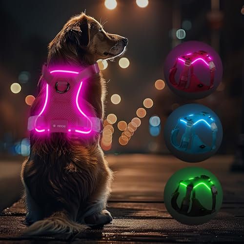 Light Up Dog Hundegeschirr Leuchtend LED Aufladbar - Leuchtgeschirr Leuchtend für Klein Mittelgroße Grosse Hund, Reflektierende Brustgeschirr Beleuchtetes Hundegeschirr, 4-Punkt Verstellbar,Rosa,L