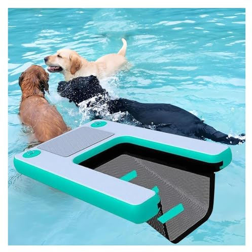 Hundpoolramp med EVA-halkskydd, vikbar hundstege för pooler och båtar över marken, 1,5 m enkel att bära och förvara