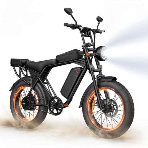 250W Pedal Assist Fat Tire Electric Bike, 20 x 4 All Terrain E-Bike with 48V 15AH Removable Battery, Card Unlock, Dual Suspension, Full Lighting System, Dual Seats, Max Speed 25km/h, Off-Road Ebike