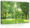 Bilder Bäume Grün Wiese Garten Natur Wald 100x75 cm - Leinwandbild Modern Canvas Groß XXL Schlafzimmer Wohnzimmer Wandbild Kunstdruck Wandbilder Wand Bild auf Leinwand Aufhängefertig