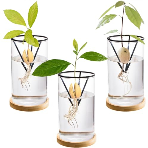 Lawei 3 Pack Avocado Tree Growing Kits, Glass Avocado Seed Starter Vase with Metal Triangle Bracket and Bamboo Base, Avocado Pit Sprouting Plant Pot Glass Bottle for Gardening Lovers Home Decor